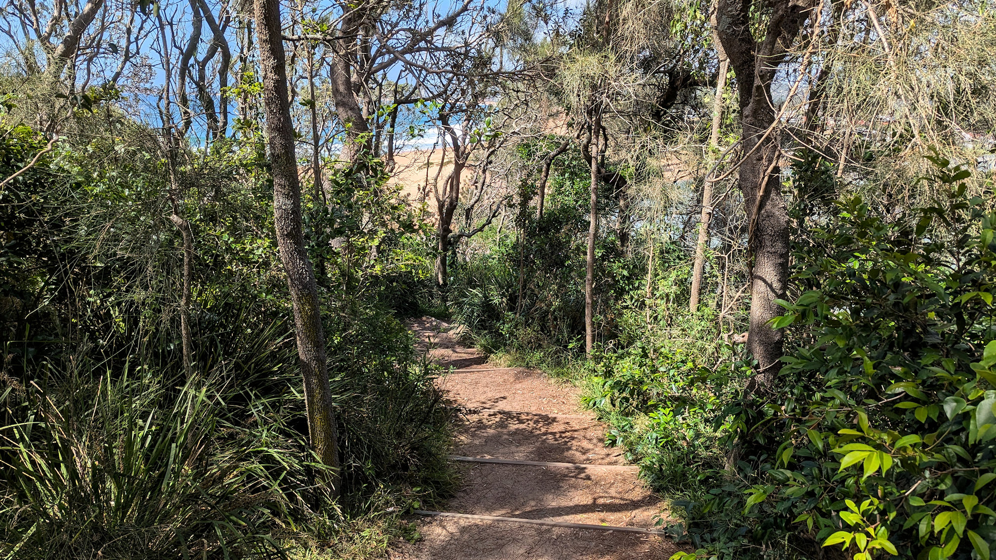 mona_vale track (13)